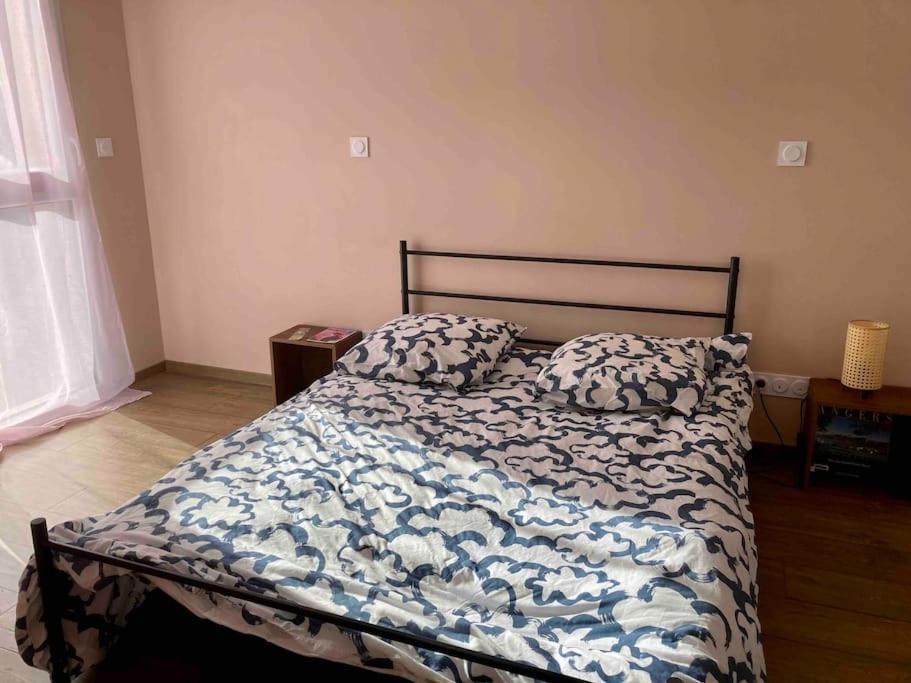 Apartmán Quai Sud - Gare, 100 M2, Parking, Wifi, Superette, Lave Linge Angers Exteriér fotografie