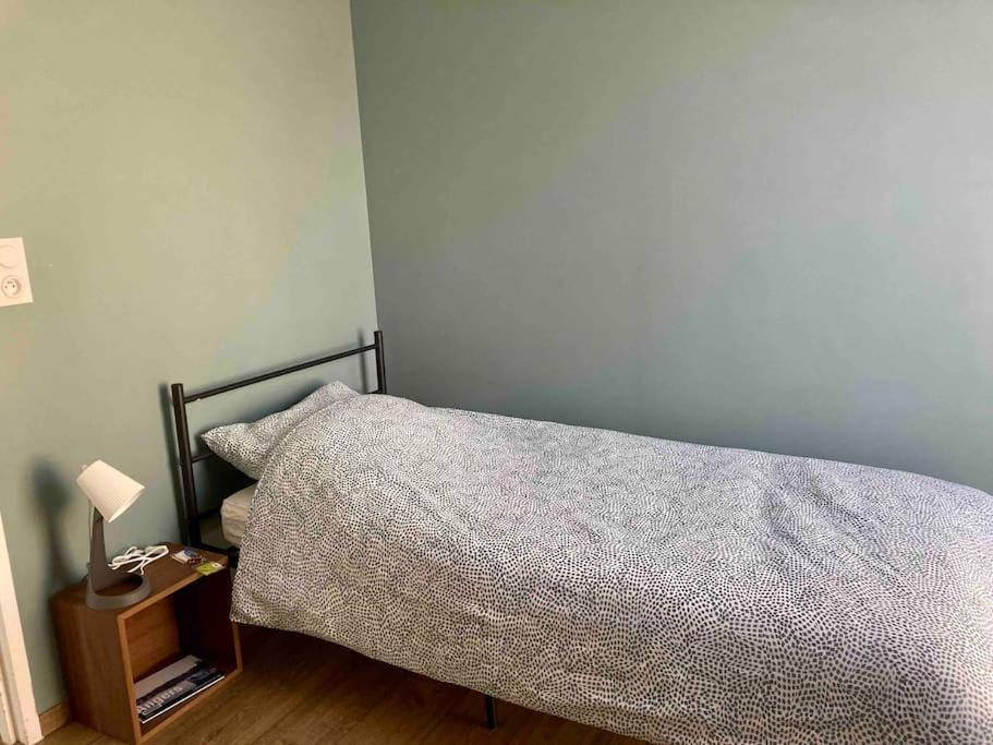 Apartmán Quai Sud - Gare, 100 M2, Parking, Wifi, Superette, Lave Linge Angers Exteriér fotografie